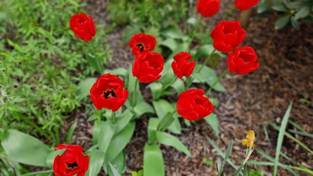 Samsung Galaxy S22+ camera test