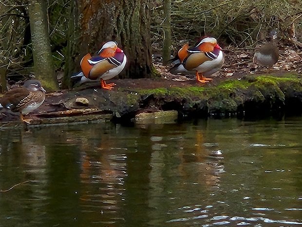 Testfotos erstellt mit der Kamera des Samsung Galaxy S24