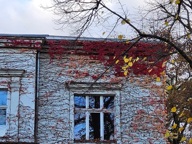 Photo prise de jour avec l'objectif principal de la Samsung Galaxy Tab S9 Ultra en zoom x4