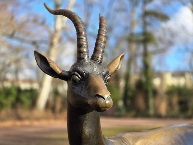 Une photo de test prise avec le Samsung Galaxy S24 Ultra